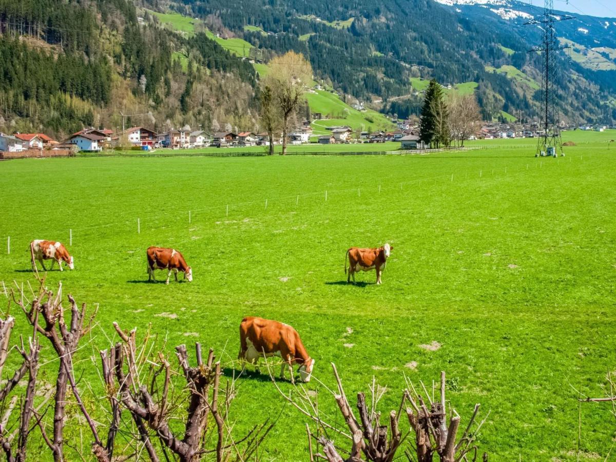 Beautiful Apartment In Ramsau With Balcony Ramsau im Zillertal Bagian luar foto